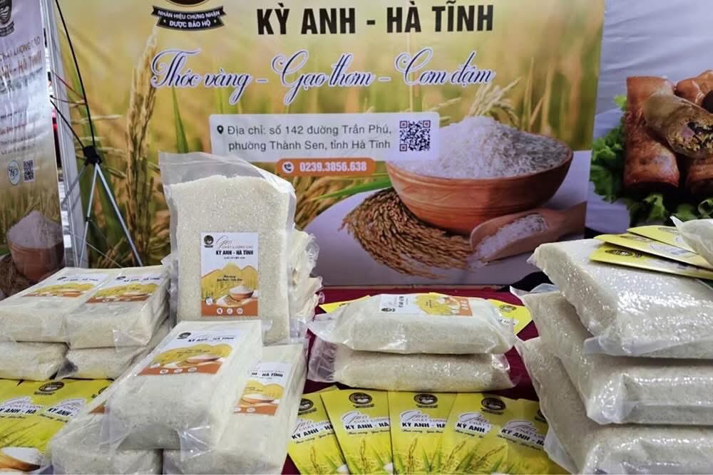 Hải Ninh – vùng sản xuất gạo được cấp chứng nhận nhãn hiệu “Gạo Kỳ Anh – Hà Tĩnh”