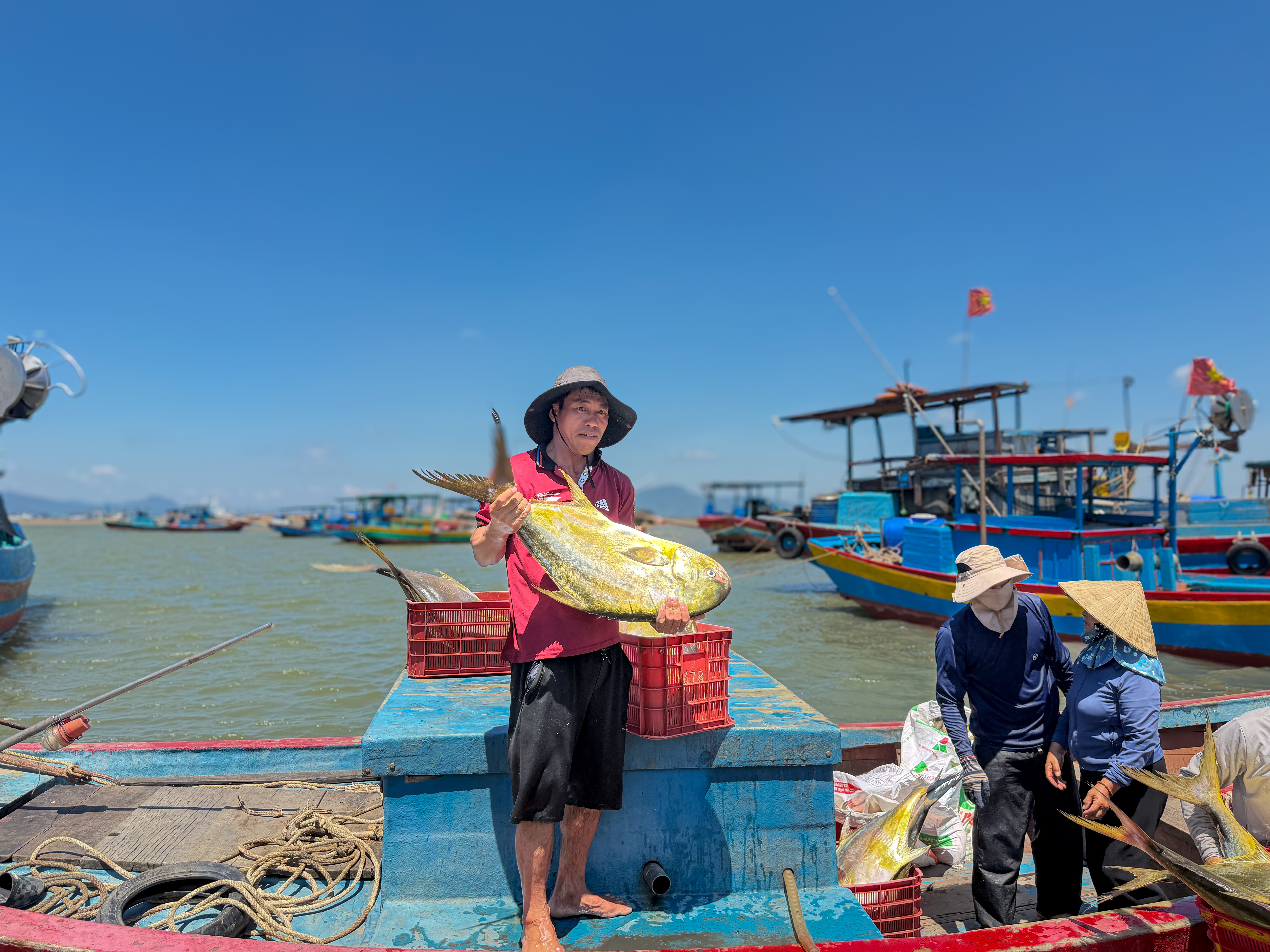 IMG_2647.JPG